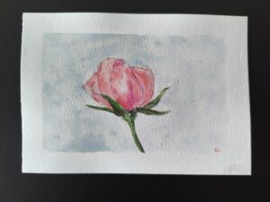 Miesiące: Mroźna róża