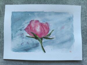 Miesiące: Mroźna róża